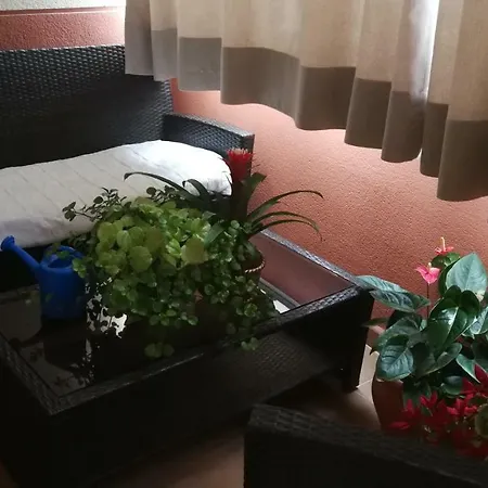 Accommodatie bij particulieren Conrado Del Campo